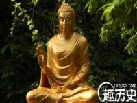 河北流量王商贸有限公司