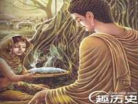 河北流量王商贸有限公司