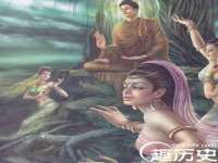 河北流量王商贸有限公司